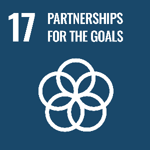 partnerships for the goals