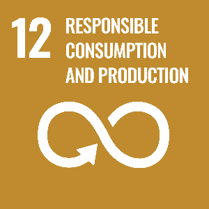 responsible consumption and production