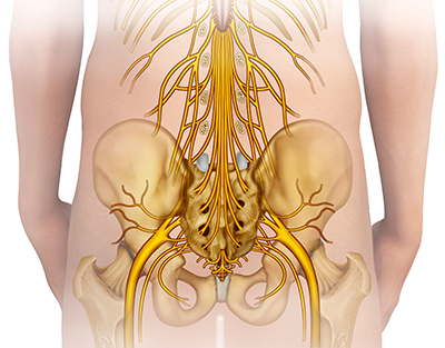 leg-pain-diagram